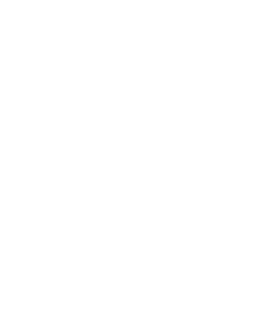 Core-X